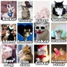 Tag your Facebook friends as LOLcats