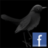 Updated: TweetDeck v0.25
