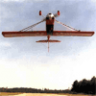Pilot takes Upside Down Facebook Day seriously, lands upside down