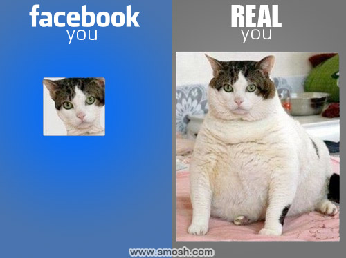Facebook You vs Real You